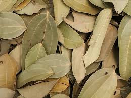 Cinnamon Leaves
